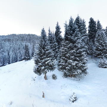 天山天池-灯杆山