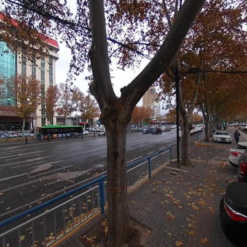 路沿石上球机照超近泊位