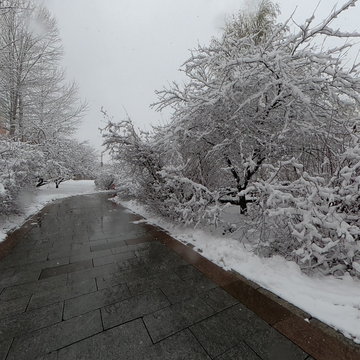 东北2023年11月9日大雪