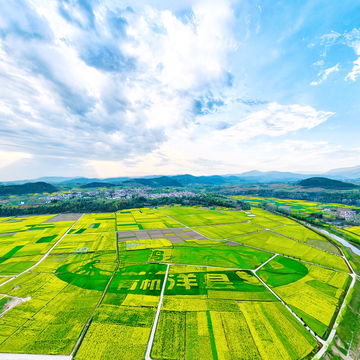 汉中洋县主会场