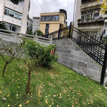 &ldquo;银&rdquo;为有你，三生有&ldquo;杏&rdquo;