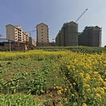 天府水岸周边环境