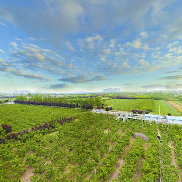 三秦全景助力乡村振兴-高陵区