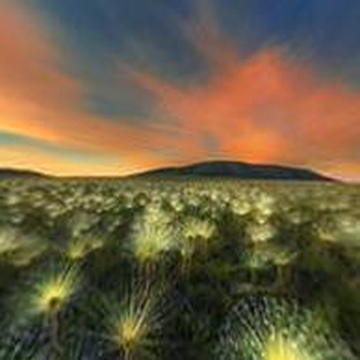 唯美景色，约会圣地