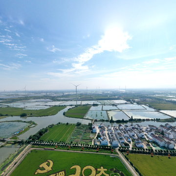 2022/喜迎二十大/邬村稻田画