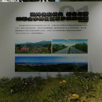 谁呢你睡觉睡觉