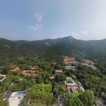 山东泰安普照寺