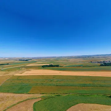 裕民县红花基地