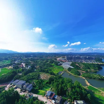 文成百丈漈杨梅