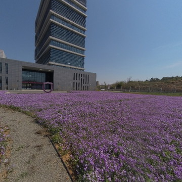 春天的南城院大花园