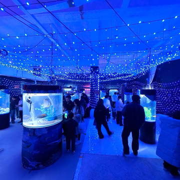 仙居&bull;吾悦广场金街二楼 ★★新海洋公园★★