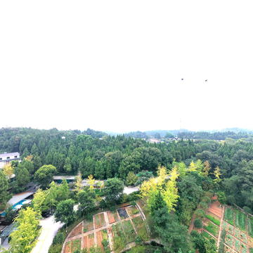 逸景乡舍庭院民宿