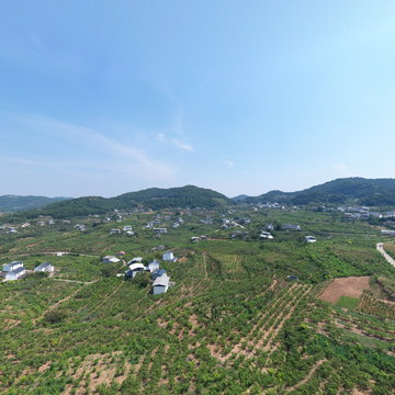 政协委员带你看三台&mdash;&mdash;走进崭山看米枣