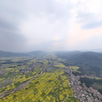 莲花万亩油菜花