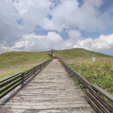 阿西里西韭菜坪2