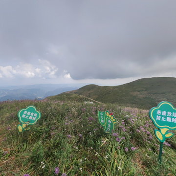 阿西里西韭菜坪