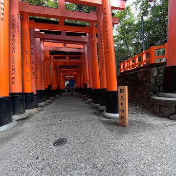 日本伏见稻荷大社