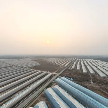 雄县高标准农业示范区