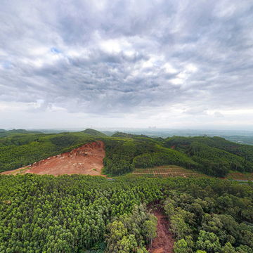 武鸣区&middot;苞张村