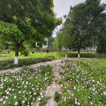 河北化工医药职业技术学院