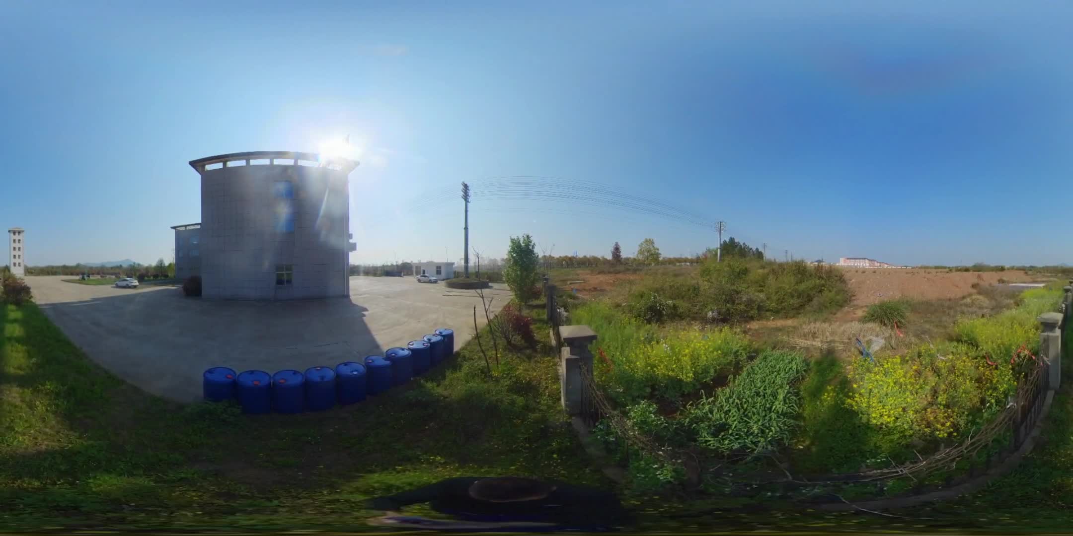 阳春三月，鸟语花香