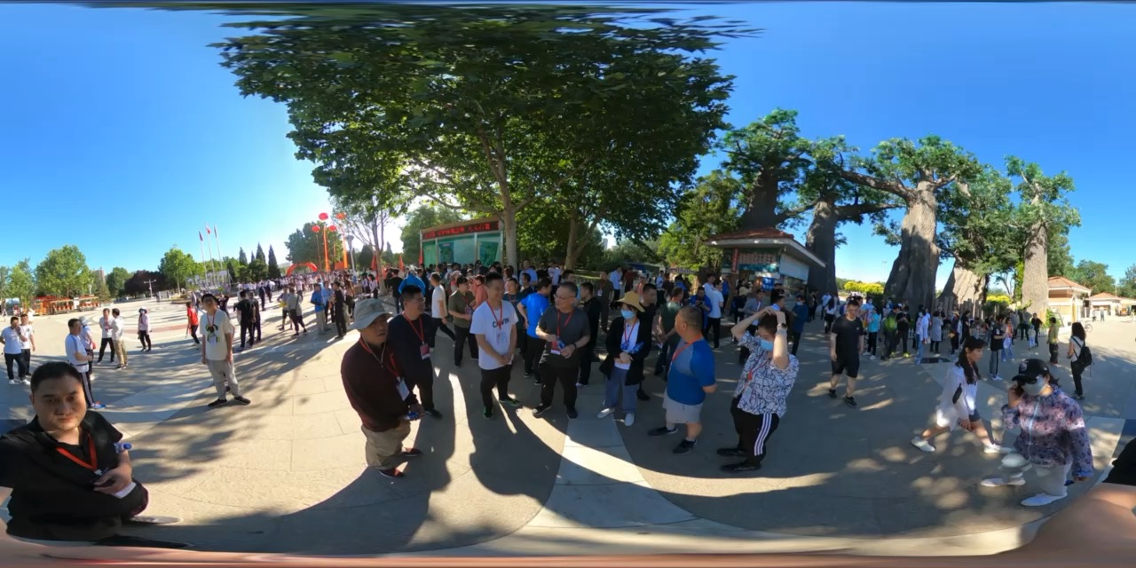 保定分行健步走活动