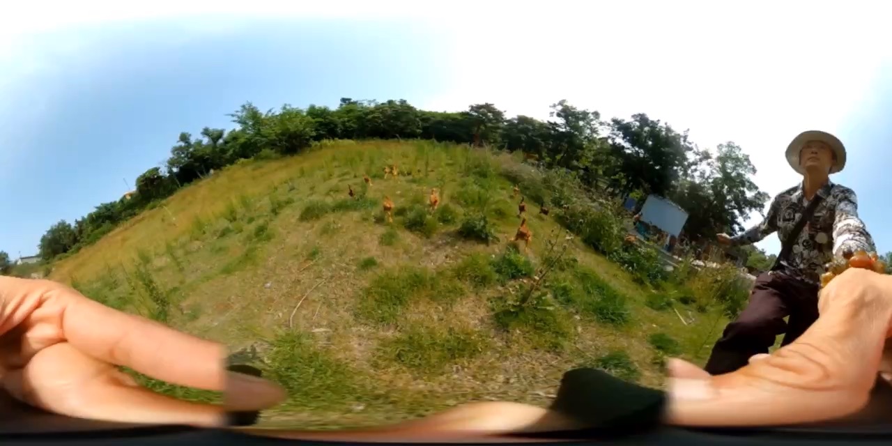 付家庄山中抓鸡