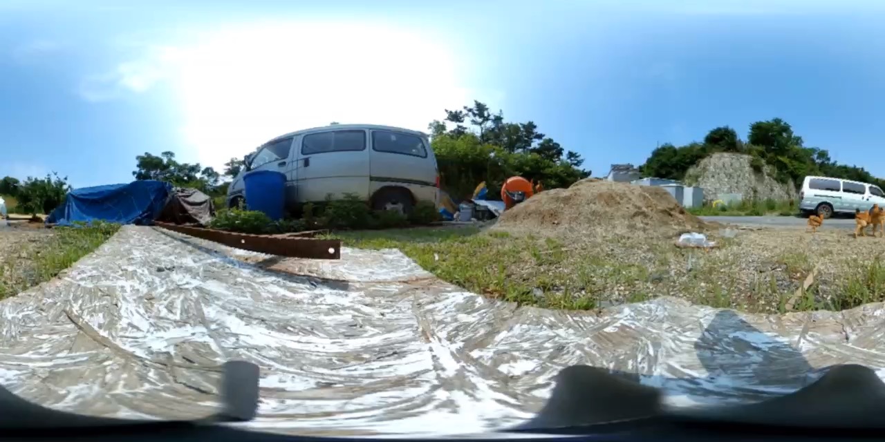 美好的自然来抓鸡