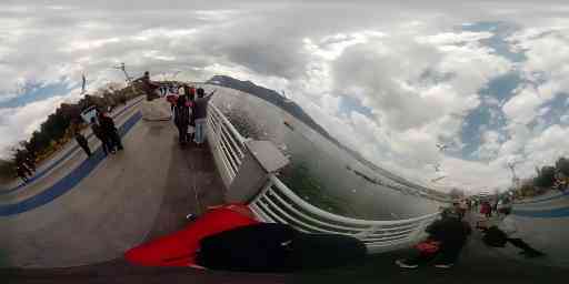 海埂大坝的红嘴鸥