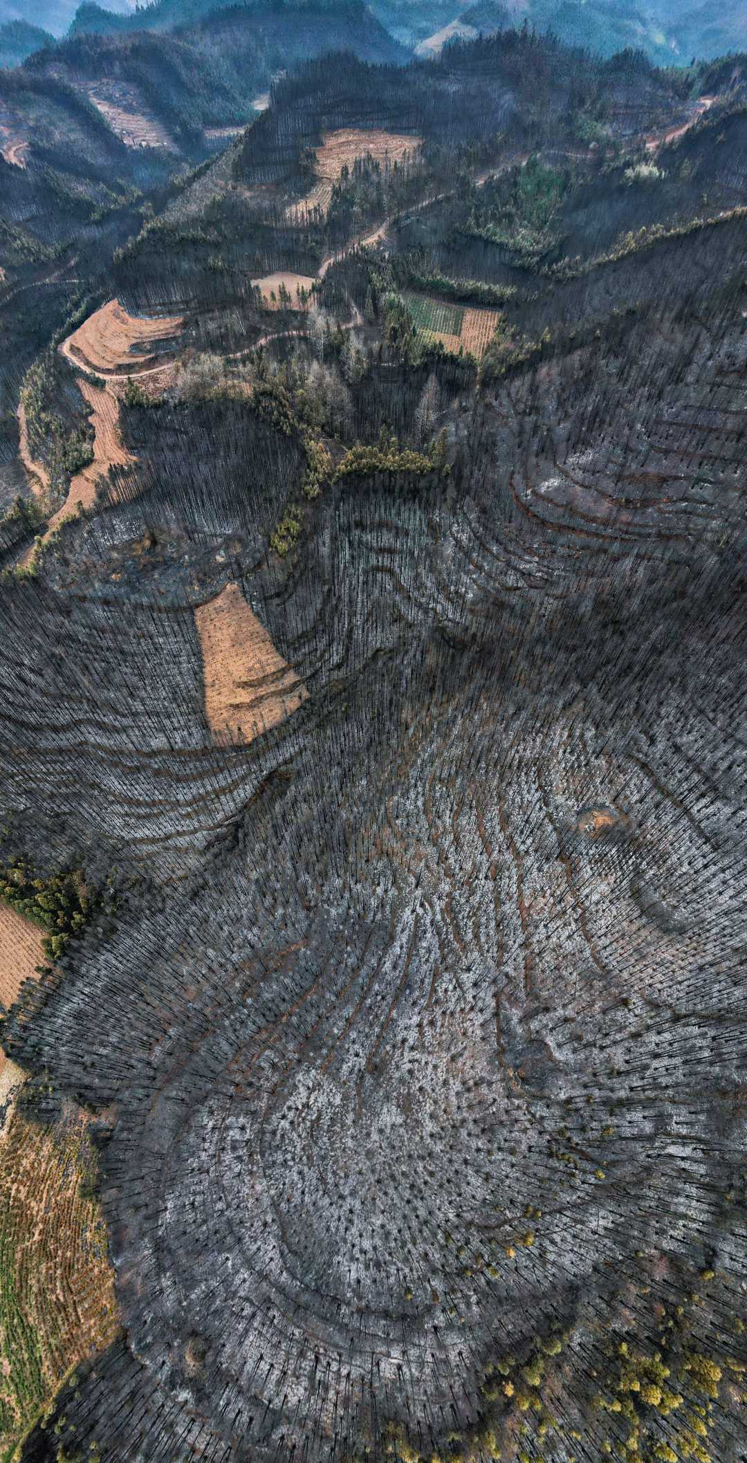 2023年洒雨镇森林火灾现场