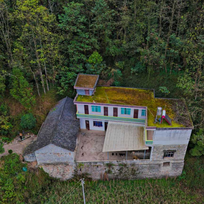 海子坝杨太付家