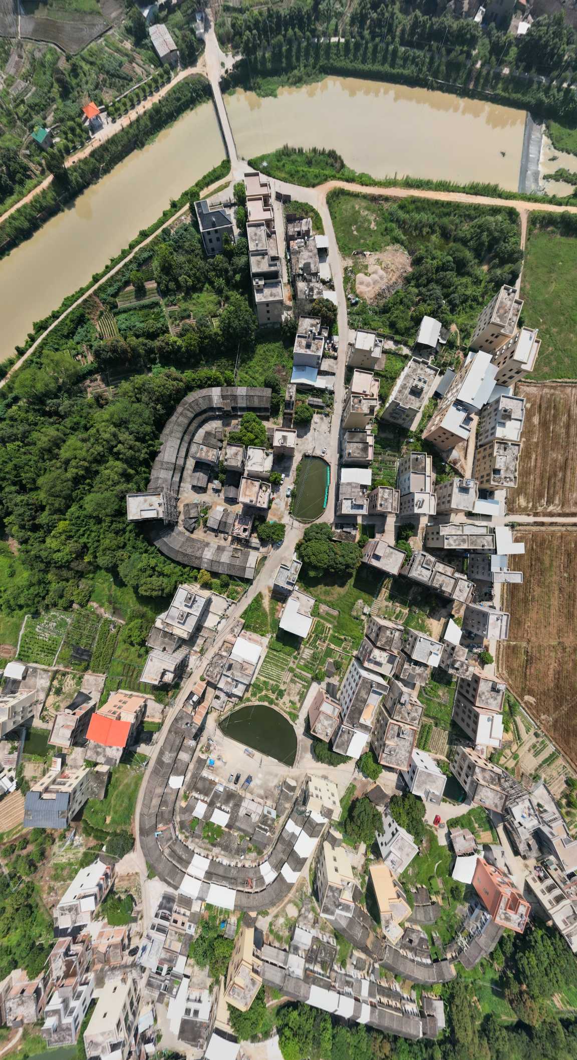 新丰&bull;葵坑&bull;溪西