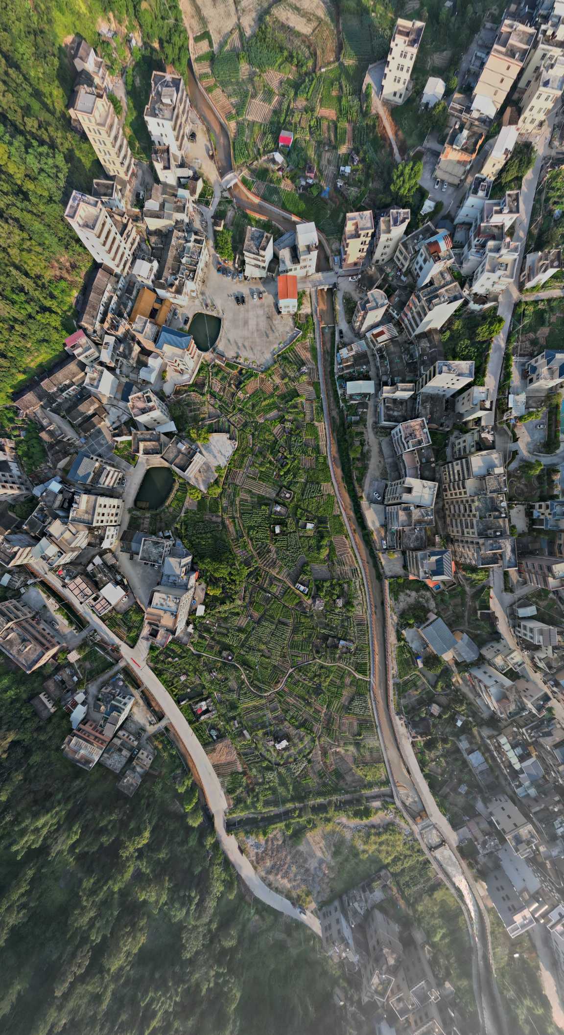 新丰镇九村&bull;锡康