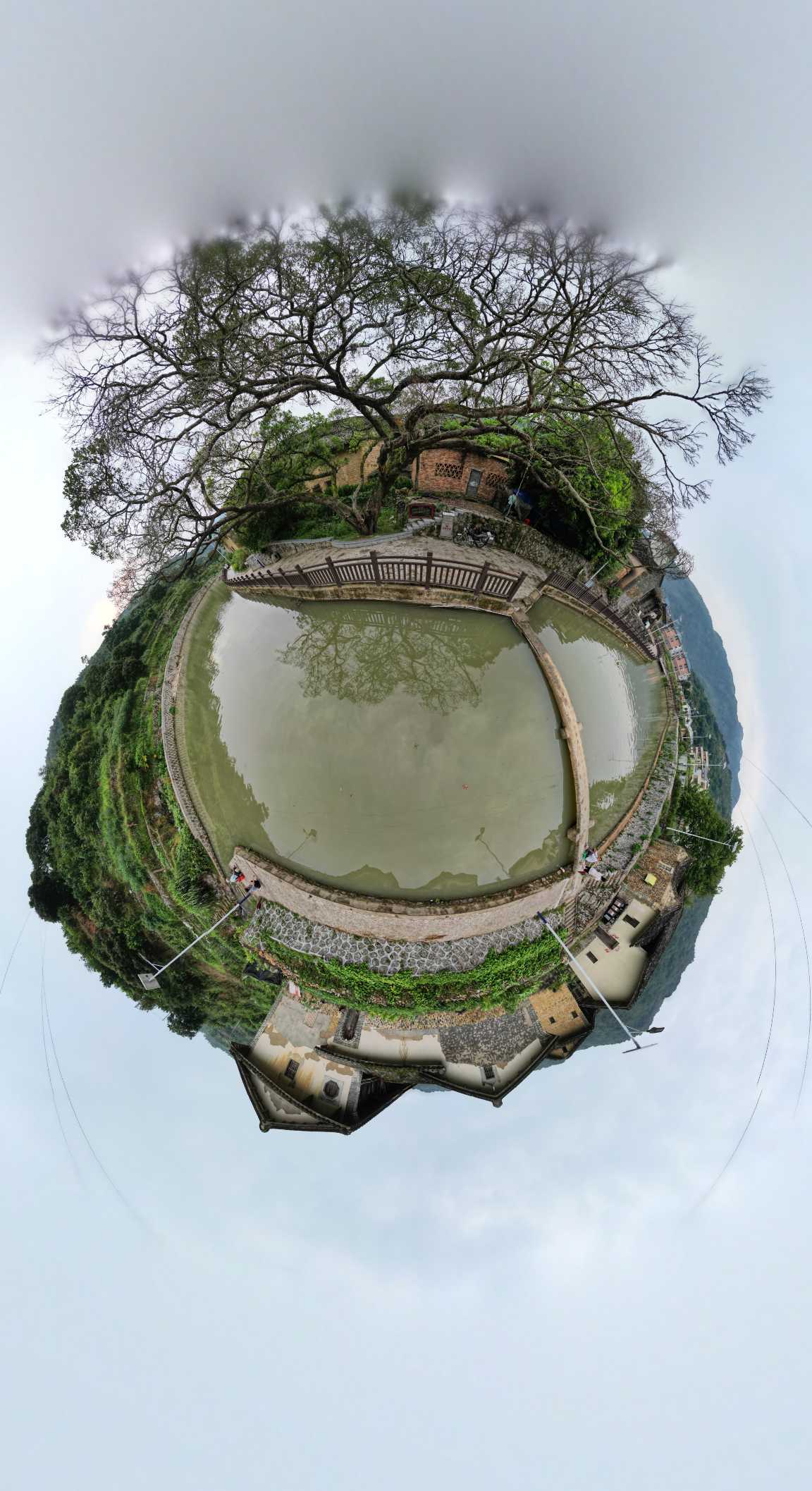 水波楼-古榕树下VR全景