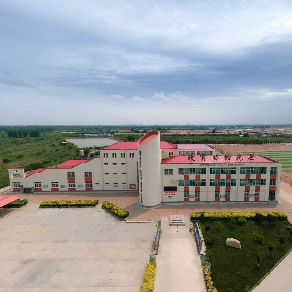 造甲城镇中学全景