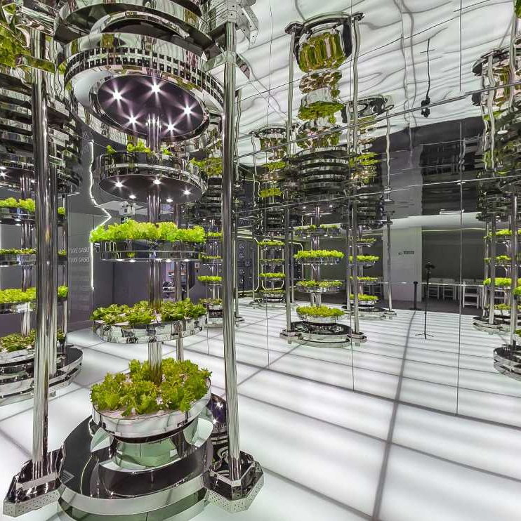 广州天河CBD&ldquo;地下农场&rdquo;